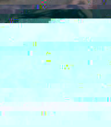 24y4dop.jpg