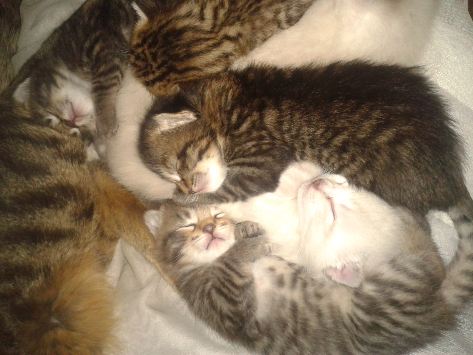 2013-03-09 00.49.10.jpg