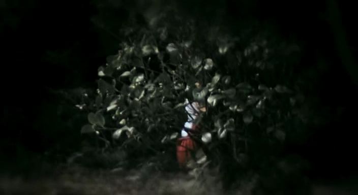 vlcsnap-2014-06-03-16h49m48s44.png